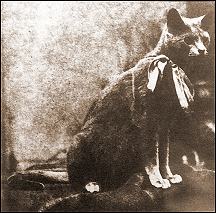 Mignon de Guerveur