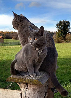 Willi et Xaver von Chersloh
